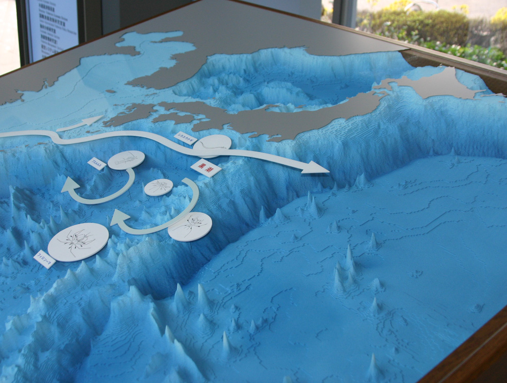 日本近海海底地形模型